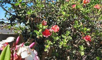 1622 Cherry Pl, Escondido, CA 92027