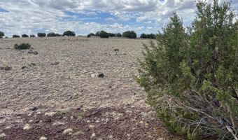 Hillcrest, Concho, AZ 85924