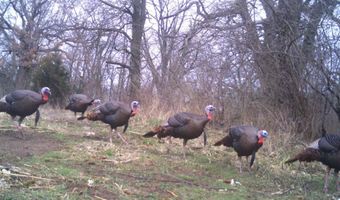 189 Th St, Albia, IA 52531