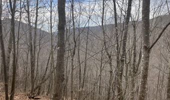 0 TBD Elleber Sods Rd, Bartow, WV 24920