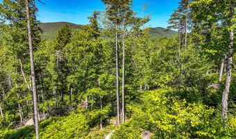 Sawyer Notch Road lot 39, Andover, ME 04216