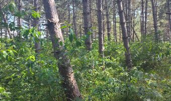 Lot 113 Beaver Lane, Arkdale, WI 54613
