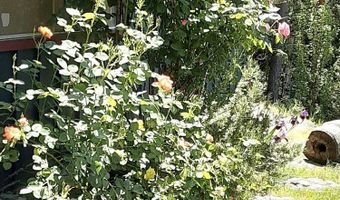 4580 OLD HOUSE CREEK Rd, Agness, OR 97406