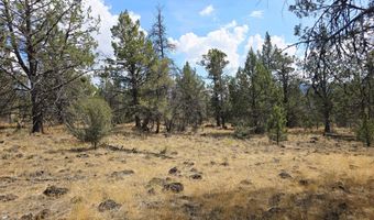 Canvasback Drive 32, Bonanza, OR 97623
