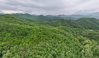 399 Shell Stand Rd, Almond, NC 28702