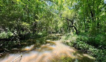 Williams Street, Brookhaven, MS 39601