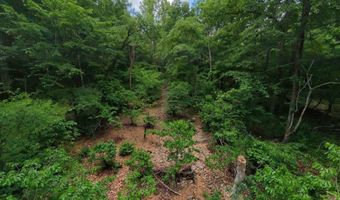 County Road 200, Alton, MO 65606