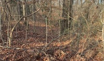 7700 Poole Cir Tract A, Alto, GA 30510