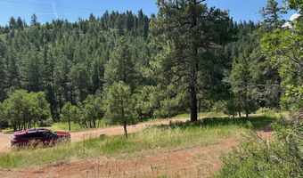 TBD-2 Vine Mesa Ave, Beulah, CO 81023