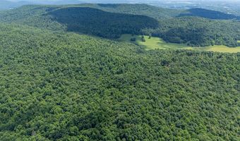 0 McKinley Guffey, Albany, KY 42602