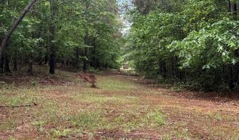 HWY 9, Banner, MS 38913