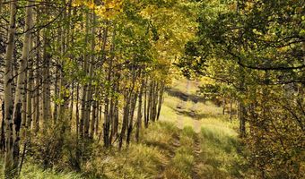 1833 W Buttermilk Rd, Aspen, CO 81611