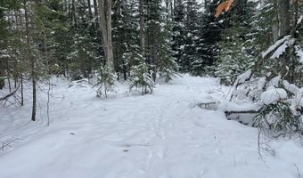 9606 Munger Rd, Afton, MI 49705