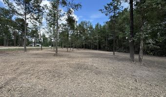 0 LA-40 Tract 3, Albany, LA 70711