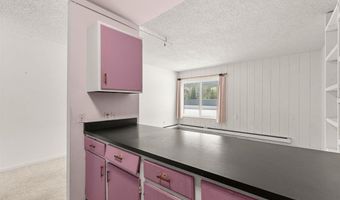 110 S Park Ave 106, Breckenridge, CO 80424