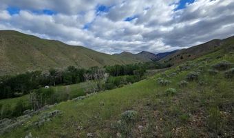 NKN E Tower Creek Road, Carmen, ID 83462