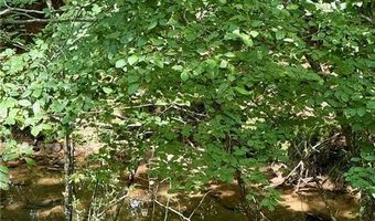 205 Huntington Shoals Dr, Athens, GA 30606