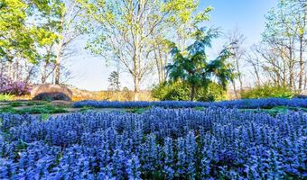 1103 Apple Pie Ridge Rd, Alto, GA 30510