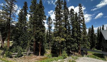 584 Camron Ln Lot 6, Breckenridge, CO 80424