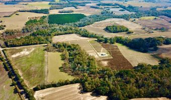 24 59 Acres Cedar Spgs, Ashford, AL 36312