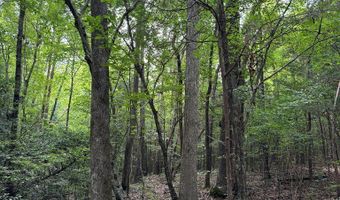 9891 Baskerville Rd, Baskerville, VA 23915