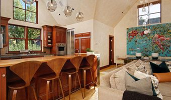 945 E Cooper Ave, Aspen, CO 81611