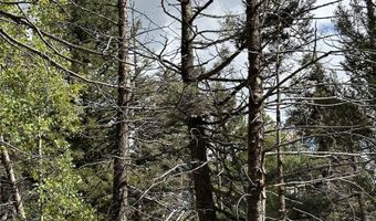 Lot 1407 Camino Real, Angel Fire, NM 87710