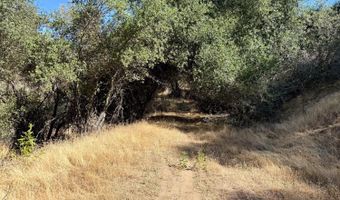 41902 Woodward Way, Ahwahnee, CA 93601