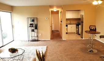4513 ROMLON St 203, Beltsville, MD 20705