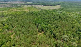 Fox Paw Court, Branchville, SC 29432