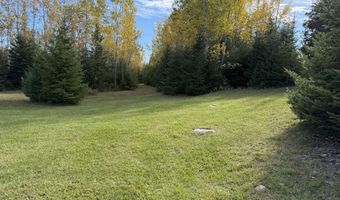 9415 Wreck Rd, Alpena, MI 49707