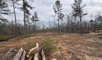 5672 White Oak Rd, Appling, GA 30802