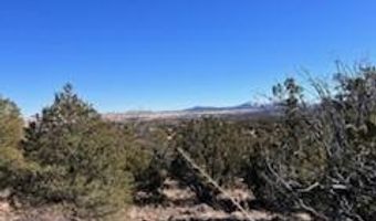 N8689 lot 002P, Concho, AZ 85924
