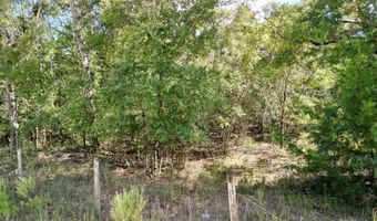 55 Th St, Bell, FL 32619