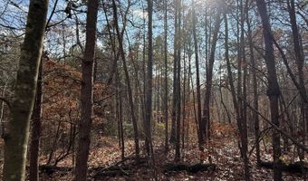 Parksville Road lot 1, Benton, TN 37307