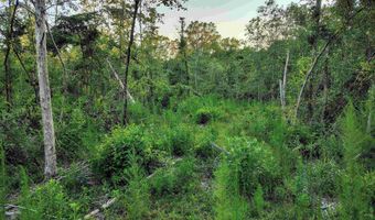 9751 Ocelot, Gilmer, TX 75644