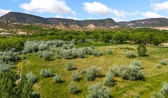 TBD 5 AC US HWY 84, Abiquiu, NM 87510