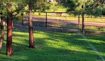 9 Co Rd 2074 # 2074, Alpine, AZ 85920