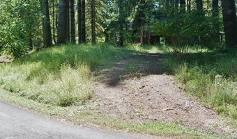 9965 BEACH Dr, Birkenfeld, OR 97016
