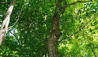 Airport Rd lot 0, Bassett, VA 24055