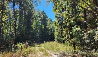 3170 Co Rd 53, Abbeville, AL 36319