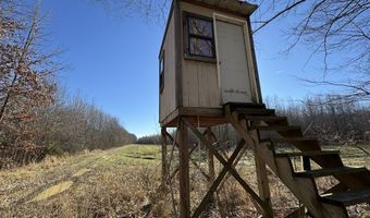 6075 Curtis Rd, Batesville, MS 38606