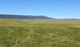 UBET Road, Buffalo, MT 59418