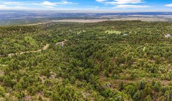 8716 National Forest Dr, Beulah, CO 81023