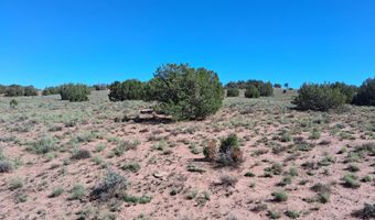 SW236 N9233, Concho, AZ 85924