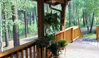 8 County Road 2083, Alpine, AZ 85920