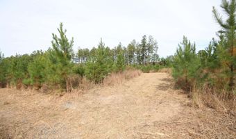 RIDGE RD lot 1, Arvonia, VA 23004