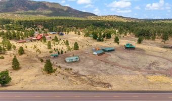 42765 US-180, Alpine, AZ 85920
