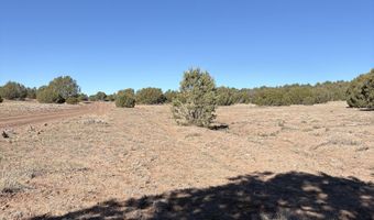 5 N8715, Concho, AZ 85924