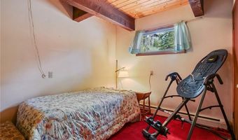 212 Briar Rose Ln, Breckenridge, CO 80424